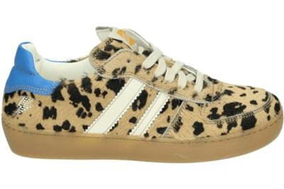 Ocra 126C - alle Ocra 126C - alle