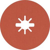 Bosch Accessories 2608621811 Fiberschijf Diameter 125 mm Korrelgrootte (num): 120 5 stuk(s) - thumbnail