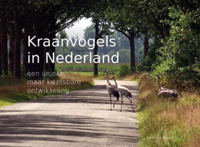 Kraanvogels in Nederland (Hardback)