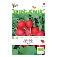 Biologische Radijs Raxe - thumbnail