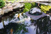 Velda Floating Fish Dome M 35 cm - thumbnail
