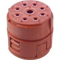 EPIC Signal M23 P inzetstukken, 8+1 polig 73002736 Lapp Zubehör LAPP Inhoud: 5 stuk(s) - thumbnail