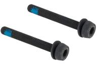 Campagnolo mounting bolts for disc brakes (pack of 2) - thumbnail