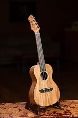 Ortega Horizon Series RUMG concert ukelele met gigbag