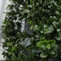 Kunst Buxus Guirlande 180cm UV Deluxe - thumbnail