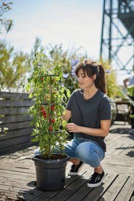 Vaso per pomodori ELHO Green Basics - 33 cm - Nero brillante