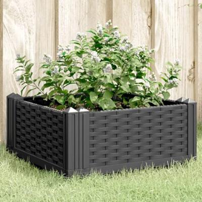 VidaXL Plantenbak met pinnen 42,5x42,5x28,5 cm polypropeen zwart VidaXL Plantenbak met pinnen 42,5x42,5x28,5 cm polypropeen zwart