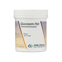 Glucosam Caps 120x750mg Deba - thumbnail