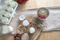 Steba JM2 - Yoghurtmaker 12x210 ml - RVS - thumbnail