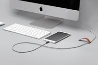Native Union Riem Kabel USB-C naar USB-A - 1,2 m Ultra-sterke hoge snelheid oplaadkabel met lederen riem compatibel met iPhone 15, Samsung Galaxy Z Fold 5, Flip 5 / S23 Ultra, iPad Pro (Zebra) - thumbnail