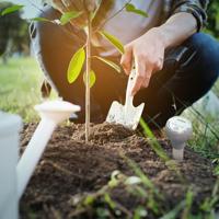 Blumat Blumat Tensiometer - thumbnail