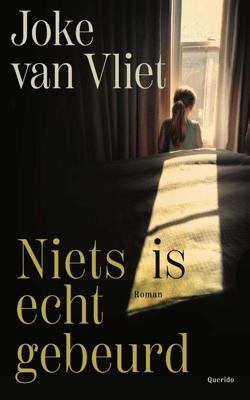 Niets is echt gebeurd - Joke van Vliet - ebook