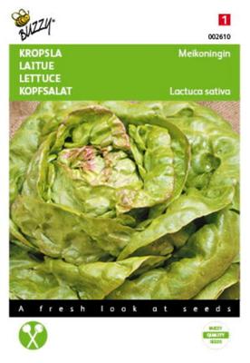 Zaden Kropsla Meikoningin Buzzy - Buzzy Zaden Kropsla Meikoningin Buzzy - Buzzy