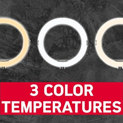 AGFAPHOTO Ringlight Realiview ARL 11