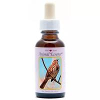 Animal Essences Sparrow (mus) 30 Milliliter - thumbnail