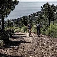 Look pad Trail Grip zwart (4st) - thumbnail