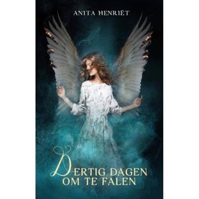 Dertig dagen om te falen (Paperback)