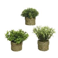 Decoratieve plant Basic Home Kunstmatig Touw Groen 16 x 3 cm - thumbnail