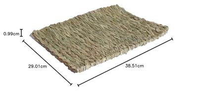 ROSEWOOD NATURALS GEVLOCHTEN SLAAP- EN SPEELMAT 40X28X1 CM