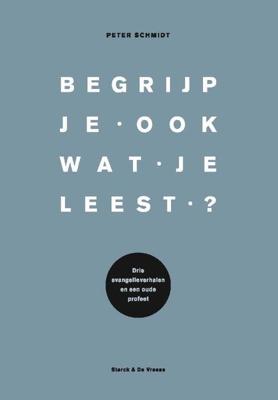 Begrijp je ook wat je leest? (Paperback)