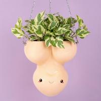 Hangende piemel bloempot - thumbnail