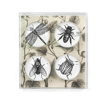 Trendform Magnet Eye - Bug - set van 4 verschillende