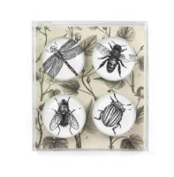 Trendform Magnet Eye - Bug - set van 4 verschillende - thumbnail