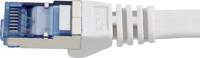 Renkforce RF-4149855 RJ45 Netwerkkabel, patchkabel CAT 6A U/FTP 20.00 m Grijs Zeer flexibel, Snagless, Vlambestendig 1 stuk(s) - thumbnail