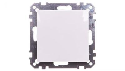 Merten blindplaat polarwit glanzend MTN391619