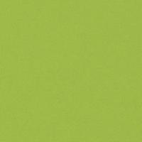 VidaXL Buitenkussens 60x40 cm appeltjesgroen 4 st - thumbnail