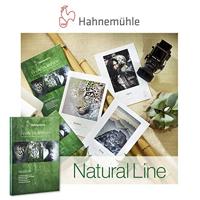 P14271/25 - thumbnail