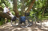 New Looxs Vigo Dubbele Fietstas 37 liter Zwart 515.330 - thumbnail