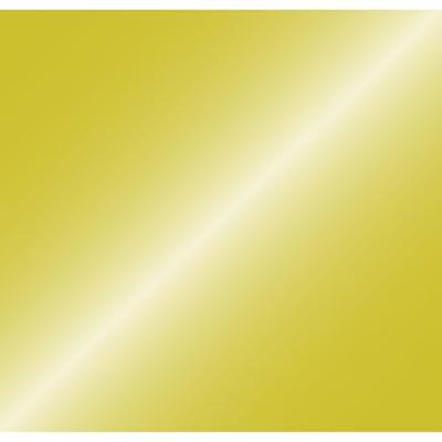 Showgear Handheld Confetti Cannon 50 cm goud metallic