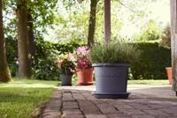 Elho algarve cilindro 25 anthracite - thumbnail