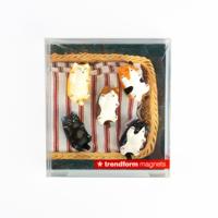 Trendform Magneten Kitty - Set van 5 stuks - thumbnail