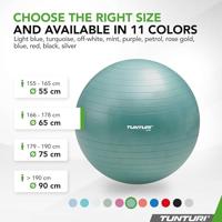 Tunturi Anti Burst Fitness bal met Pomp | Yoga bal 65 cm| 220 kg gebruikersgewicht | Incl Trainingsapp | Petrol - thumbnail