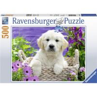Ravensburger Schattige Golden Retriever - thumbnail