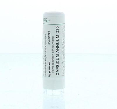 Homeoden Heel Capsicum annuum D30 6 Gram