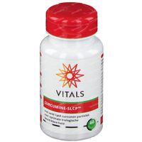 Vitals Curcumine-SLCP Capsules - thumbnail