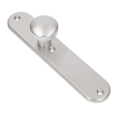 AMI Knop 169/50 Vast Langschild 250/50/1/8 Blind R6,5 F1 - 323980