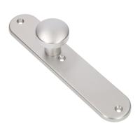 AMI Knop 169/50 Vast Langschild 250/50/1/8 Blind R6,5 F1 - 323980 - thumbnail