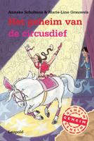 Het geheim van de circusdief - Anneke Scholtens - ebook - thumbnail