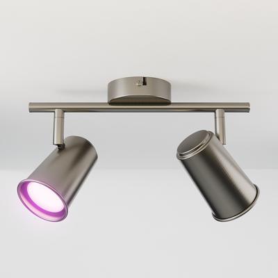 Riga - LED smart plafondlamp - 2 spots - 10 Watt 800 Lumen - Draaibaar en kantelbaar - GU10 - RGBWW - Wifi + Bluetooth - Google Home, Amazon Alexa en Siri - RVS - Bestuurbaar via App en Stem