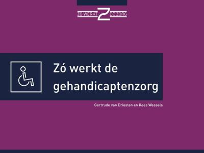 Zó werkt de gehandicaptenzorg (Hardback)