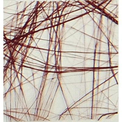 Vaessen Creative • sizoweb 60cmx25m chocoladebruin