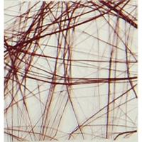 Vaessen Creative • sizoweb 60cmx25m chocoladebruin - thumbnail