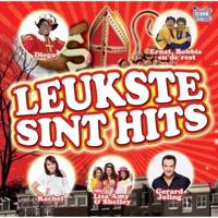 De Leukste Sint Hits - CD (8718521006761) - thumbnail