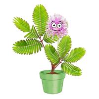 Selecta Kosmos mimosa garden speelset - thumbnail