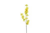 Decostar zijdebloem Matthiola 120 cm geel - thumbnail