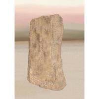 Gedachtenboek - (ISBN:9789464188745) - thumbnail